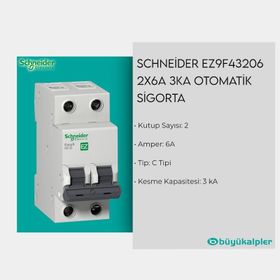 Schneider EZ9F43206 C Tipi 2x6A Otomatik Sigorta
