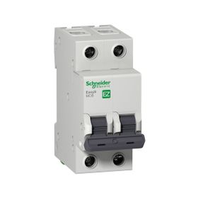 Schneider EZ9F43206 C Tipi 2x6A Otomatik Sigorta