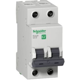 Schneider EZ9F43206 C Tipi 2x6A Otomatik Sigorta