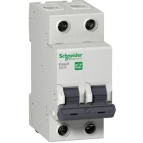 Schneider EZ9F43206 C Tipi 2x6A Otomatik Sigorta