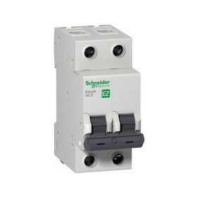 Schneider EZ9F43206 C Tipi 2x6A Otomatik Sigorta