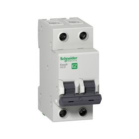 Schneider EZ9F43210 C Tipi 2x10A Otomatik Sigorta