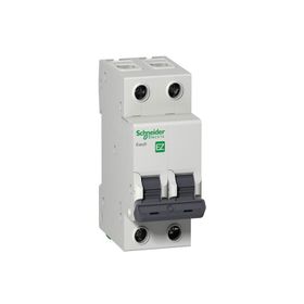 Schneider EZ9F43216 C Tipi 2x16A Otomatik Sigorta