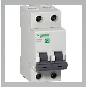 Schneider EZ9F43240 C Tipi 2x40A Otomatik Sigorta