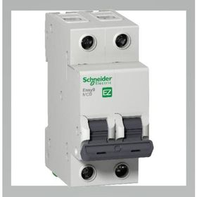 Schneider EZ9F43240 C Tipi 2x40A Otomatik Sigorta