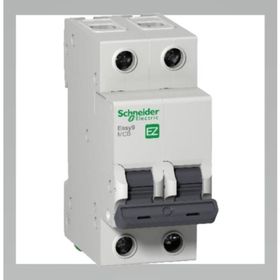 Schneider EZ9F43240 C Tipi 2x40A Otomatik Sigorta