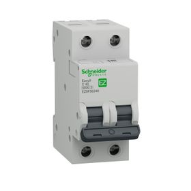 Schneider EZ9F43240 C Tipi 2x40A Otomatik Sigorta