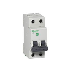 Schneider EZ9F43250 C Tipi 2x50A Otomatik Sigorta