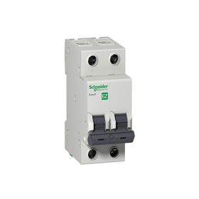 Schneider EZ9F43263 C Tipi 2x63A Otomatik Sigorta