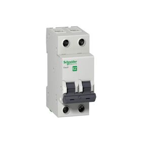 Schneider EZ9F43263 C Tipi 2x63A Otomatik Sigorta