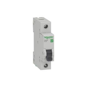 Schneider EZ9F56150 2x50 Amper 2 Fazlı C Tipi 6kA Otomatik Sigorta