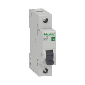 Schneider EZ9F56150 2x50 Amper 2 Fazlı C Tipi 6kA Otomatik Sigorta