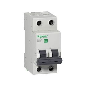 Schneider EZ9F56220 EASY9 Serisi C Tipi 2x20 A Otomatik Sigorta
