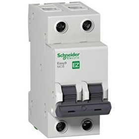 Schneider EZ9F56220 EASY9 Serisi C Tipi 2x20 A Otomatik Sigorta