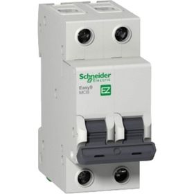 Schneider EZ9F56220 EASY9 Serisi C Tipi 2x20 A Otomatik Sigorta