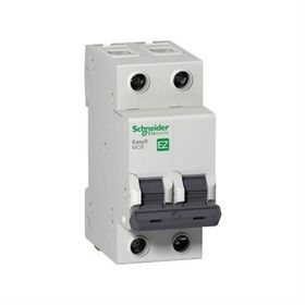 Schneider EZ9F56220 EASY9 Serisi C Tipi 2x20 A Otomatik Sigorta