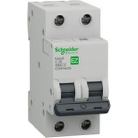 Schneider EZ9F56225 EASY9 Serisi C Tipi 2x25 A Otomatik Sigorta