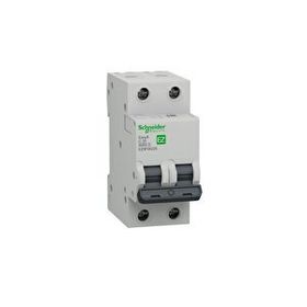 Schneider EZ9F56225 EASY9 Serisi C Tipi 2x25 A Otomatik Sigorta