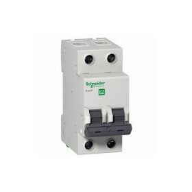 Schneider EZ9F56232 EASY9 Serisi C Tipi 2x32 A Otomatik Sigorta