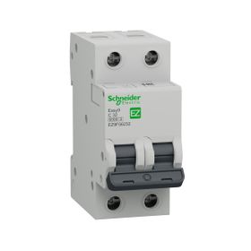 Schneider EZ9F56232 EASY9 Serisi C Tipi 2x32 A Otomatik Sigorta