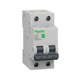 Schneider EZ9F56232 EASY9 Serisi C Tipi 2x32 A Otomatik Sigorta