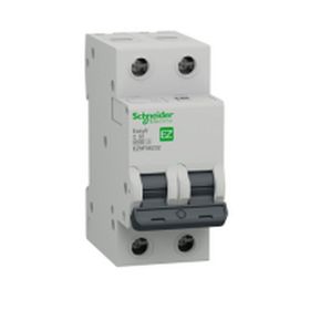 Schneider EZ9F56232 EASY9 Serisi C Tipi 2x32 A Otomatik Sigorta
