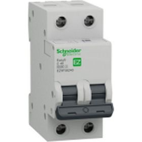 Schneider EZ9F56240 EASY9 Serisi C Tipi 2x40 A Otomatik Sigorta