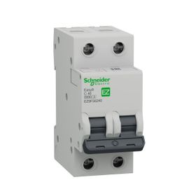 Schneider EZ9F56240 EASY9 Serisi C Tipi 2x40 A Otomatik Sigorta