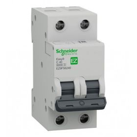 Schneider EZ9F56240 EASY9 Serisi C Tipi 2x40 A Otomatik Sigorta