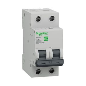 Schneider EZ9F56250 EASY9 2P 50 6Ka C Tipi Otomatik Sigorta