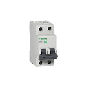 Schneider EZ9F56263 EASY9 2P 63 6Ka C Tipi Otomatik Sigorta