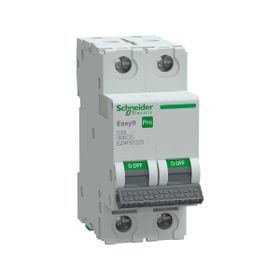 Schneider EZ9F57225 Easy9 Pro 2P 25 A C Eğrisi Otomatik Sigorta