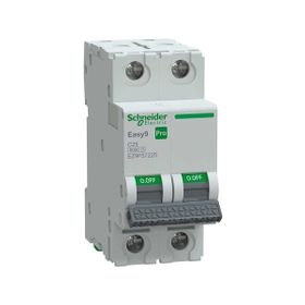 Schneider EZ9F57225 Easy9 Pro 2P 25 A C Eğrisi Otomatik Sigorta