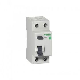Schneider EZ9R05263 2x63A 30mA Kaçak Akım Rölesi
