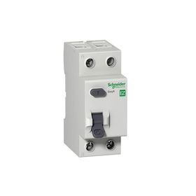 Schneider EZ9R63240 2x40A 300mA Kaçak Akım Rölesi