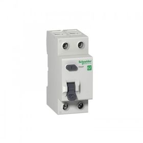 Schneider EZ9R63240 2x40A 300mA Kaçak Akım Rölesi