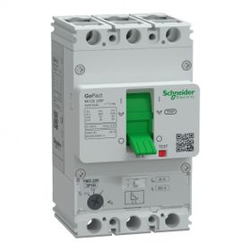 Schneider G20F3A40 GoPact MCCB 200F 3P3D 40 Ayar Sahalı Şalter