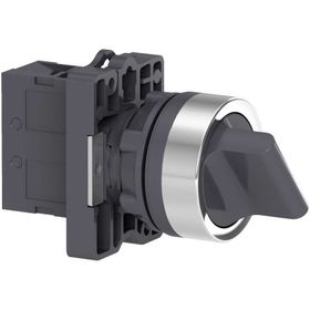 Schneider XA2-ED21 0-1 1NA Siyah Mandal Buton