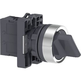Schneider XA2-ED41 0-1 Siyah Mandal Buton