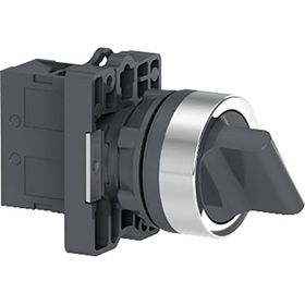 Schneider XA2-ED41 0-1 Siyah Mandal Buton
