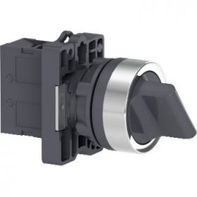 Schneider XA2-ED41 0-1 Siyah Mandal Buton