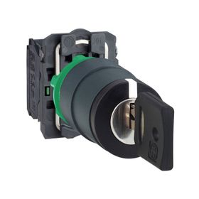 Schneider XB5-AJ53 Siyah Uzun Mandal Buton