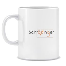 Schrödinger Kupa Bardak