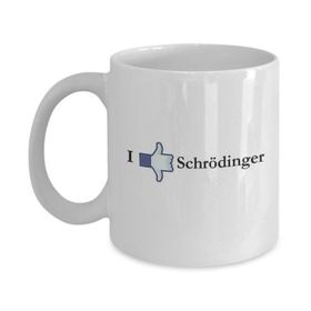 Schrödinger Kupa Bardak
