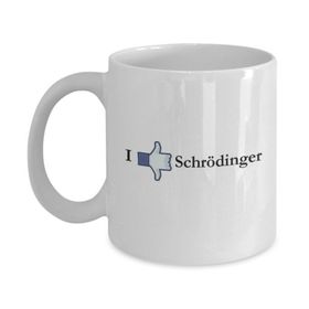 Schrödinger Kupa Bardak