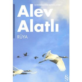 SCHRÖDINGER'İN KEDISI 2. KITAP RÜYA - ALEV ALATLI
