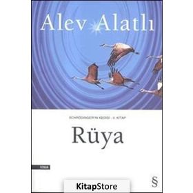 SCHRÖDINGER'İN KEDISI 2. KITAP RÜYA - ALEV ALATLI