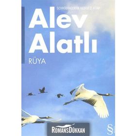 SCHRÖDINGER'İN KEDISI 2. KITAP RÜYA - ALEV ALATLI