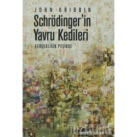 SCHRÖDİNGER'İN YAVRU KEDILERI GERÇEKLİĞİN PEŞİNDE - JOHN GRIBBIN