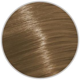 Schwarzkopf Igora Royal Absolutes 60 ml 90.60 Saç Boyası